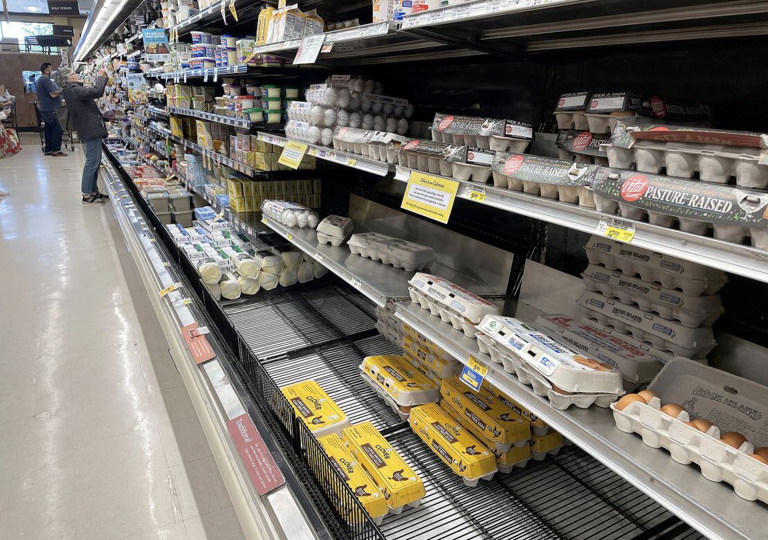 egg shortage
